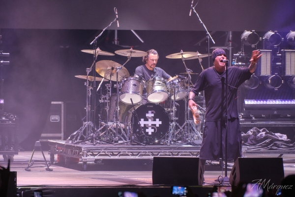 The Cult