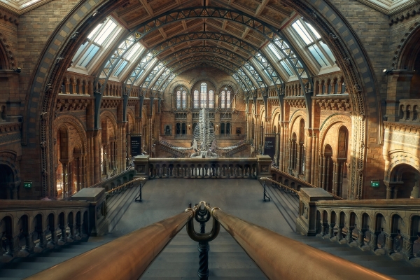 Museo de historia Natural de Londres
