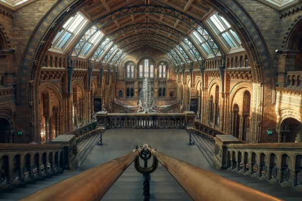 Museo de historia Natural de Londres
