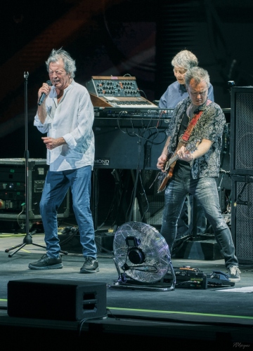 Deep Purple
