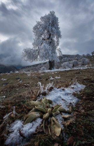 sierra de las nieves