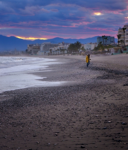 Playa - marisma