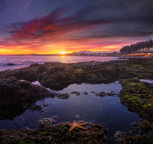 tardecer radiante sobre la orilla rocosa con una estrella de mar y un cielo al anochecer adornado con estrellas y nebulosas.