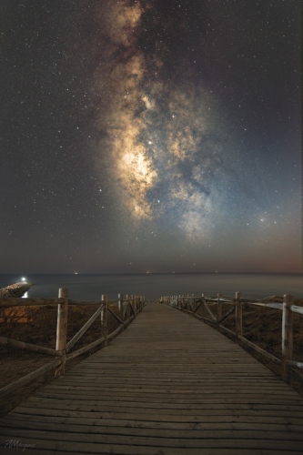 Perseidas