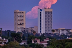 Luna Don Carlos