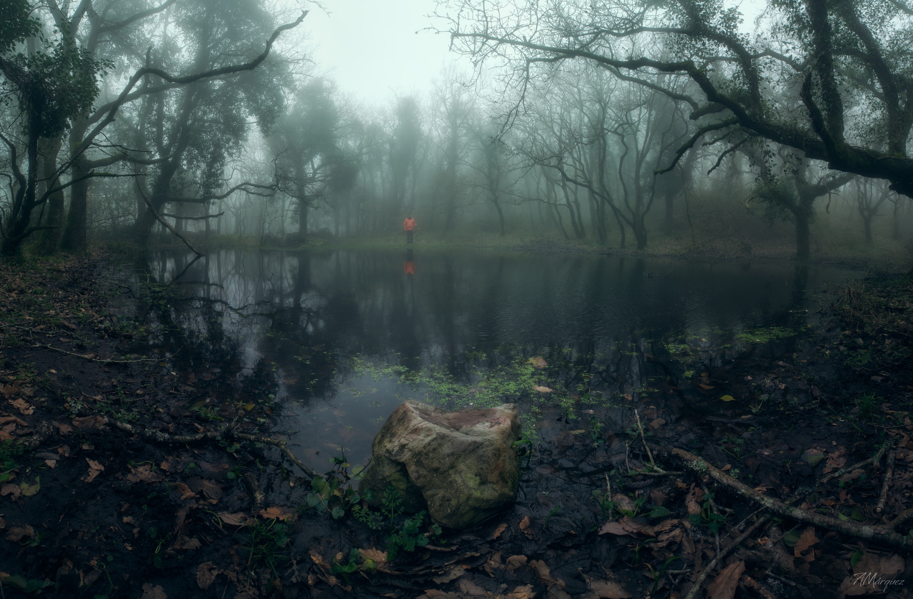 La Travesía del Bosque